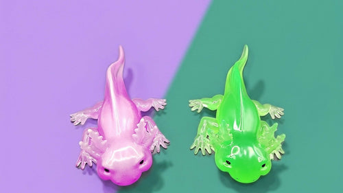 Axolotle